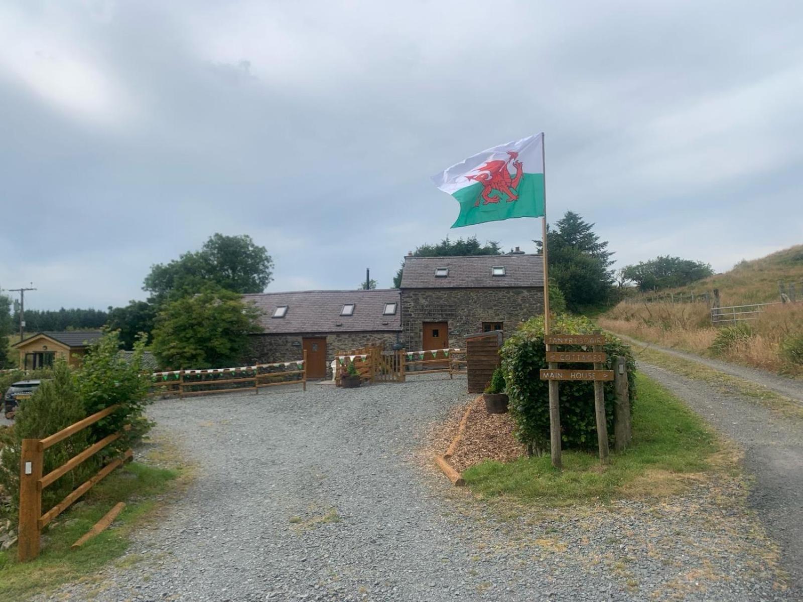 Tanyresgair Cottages Aberystwyth Kültér fotó