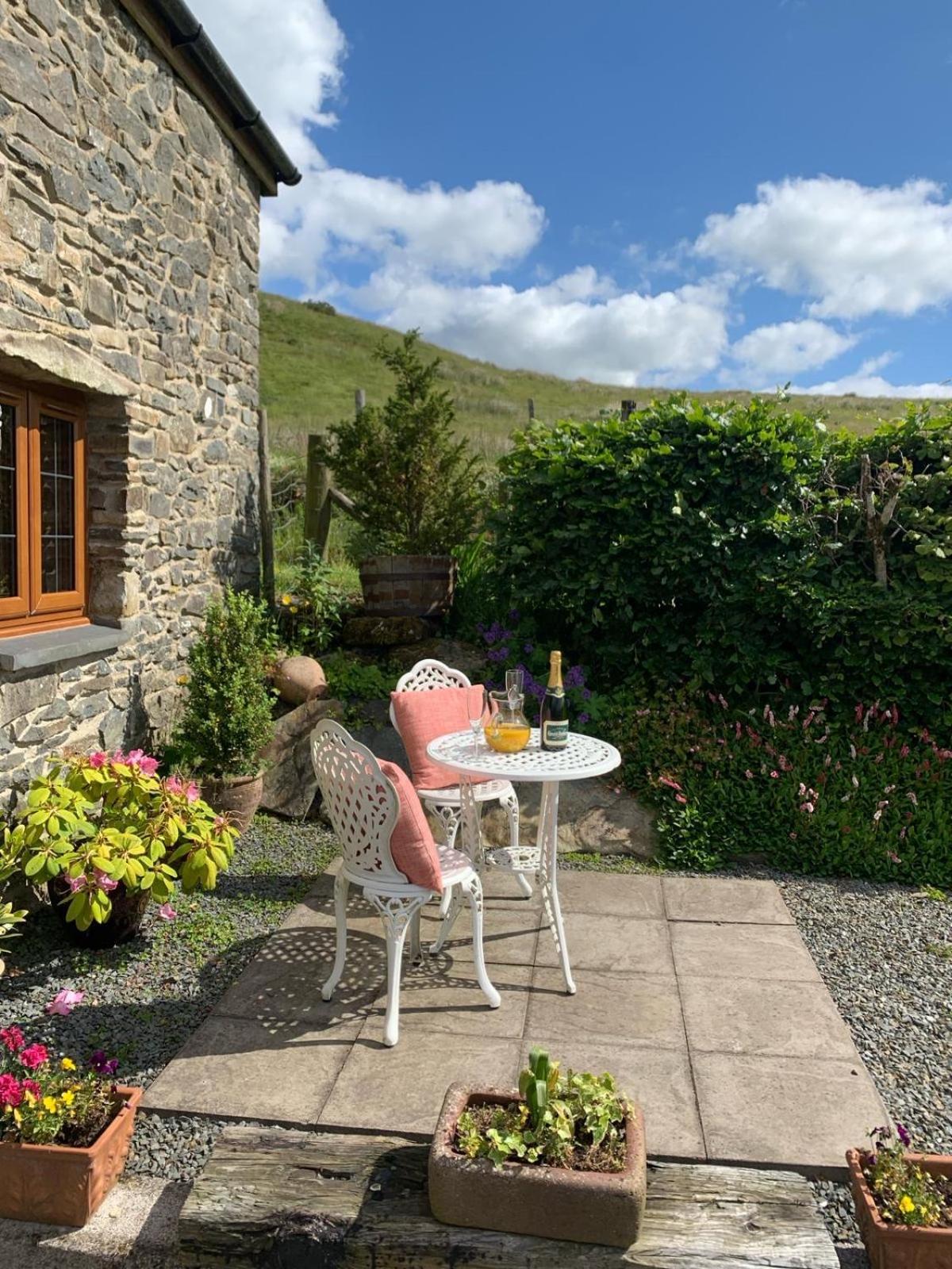 Tanyresgair Cottages Aberystwyth Kültér fotó