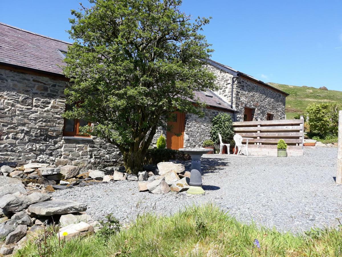 Tanyresgair Cottages Aberystwyth Kültér fotó